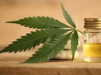 Some Common Misconceptions Regarding CBD Busted – Avoid Believing Everything You&nbsp;Hear